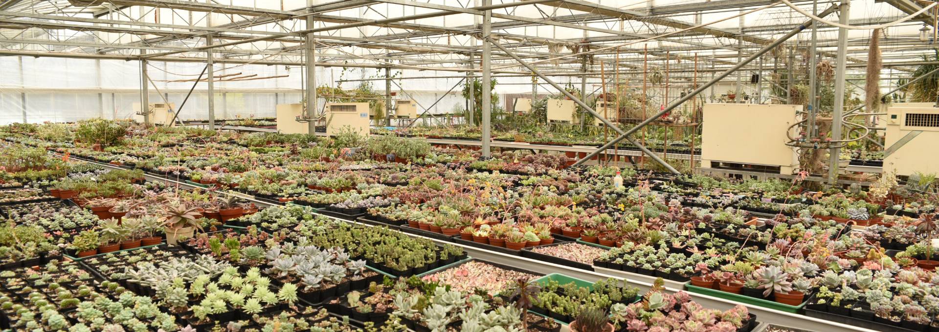 植物迁地保护中心