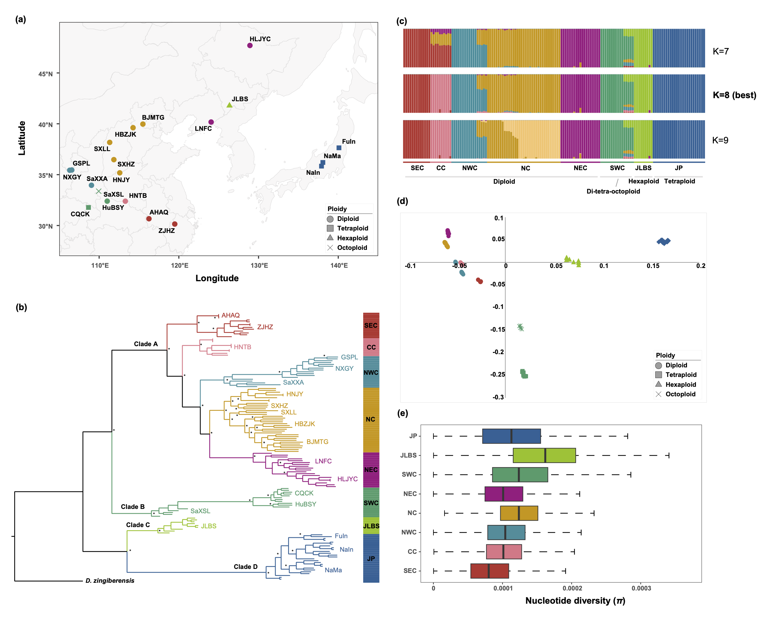 永盈彩票在《The Plant Journal》上发表穿龙薯蓣群体基因组学研究成果