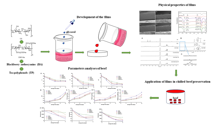永盈彩票在《Food Hydrocolloids》上发表一种新型环保食品包装材料的研究成果