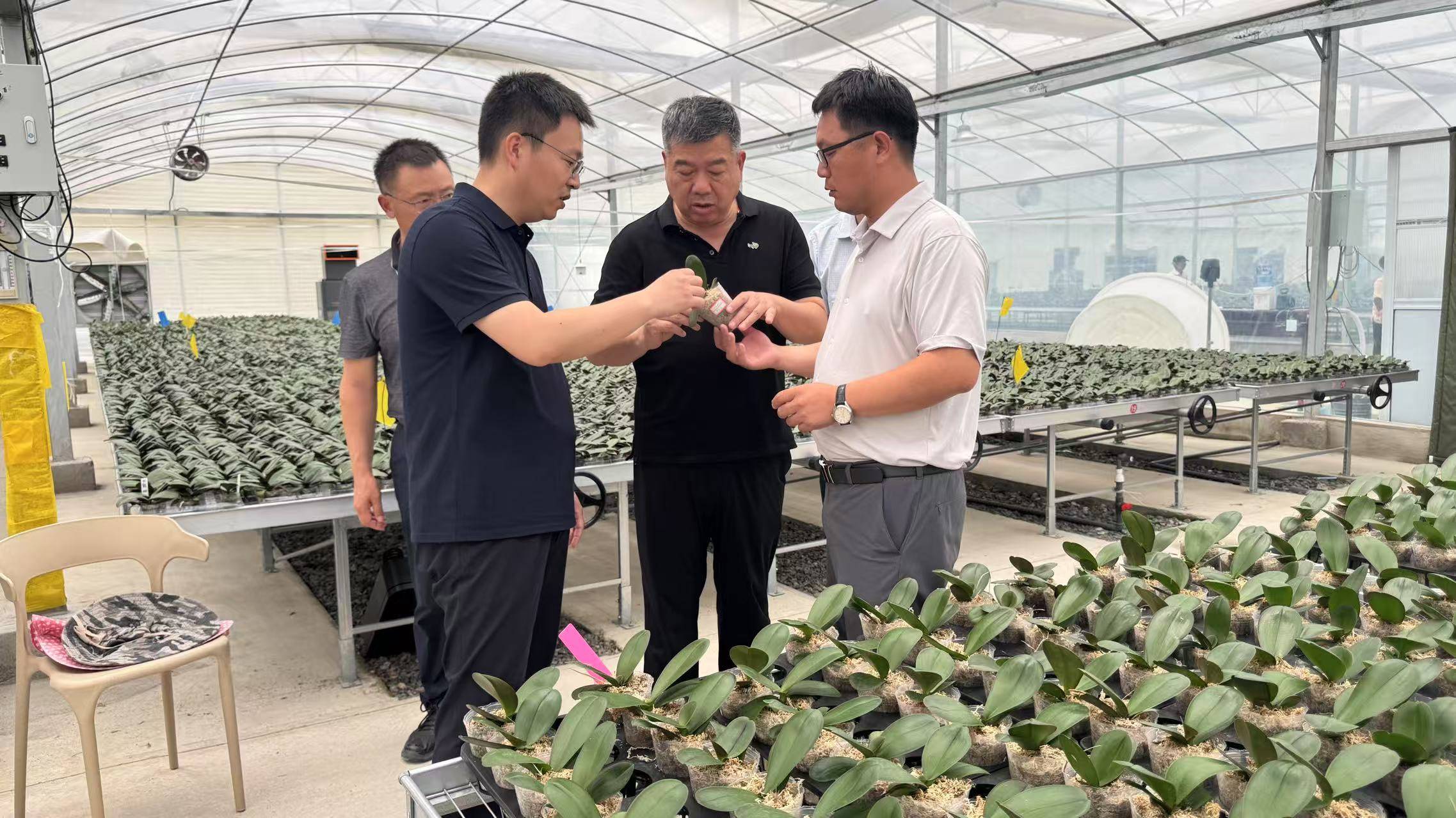 姚东瑞所长赴沭阳县调研并看望挂职干部