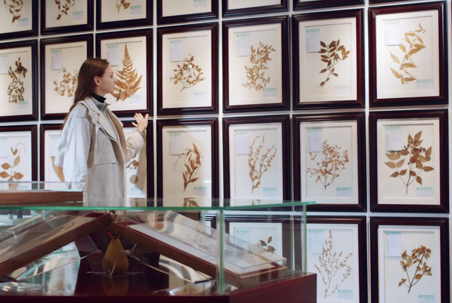 植物标本馆（图书信息中心）