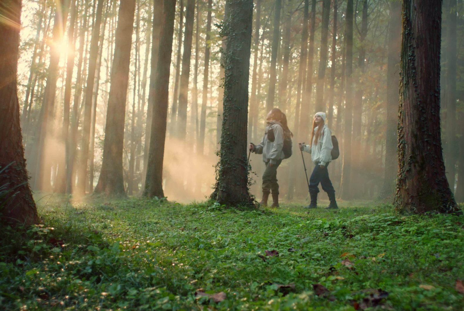 园艺和科普教育中心