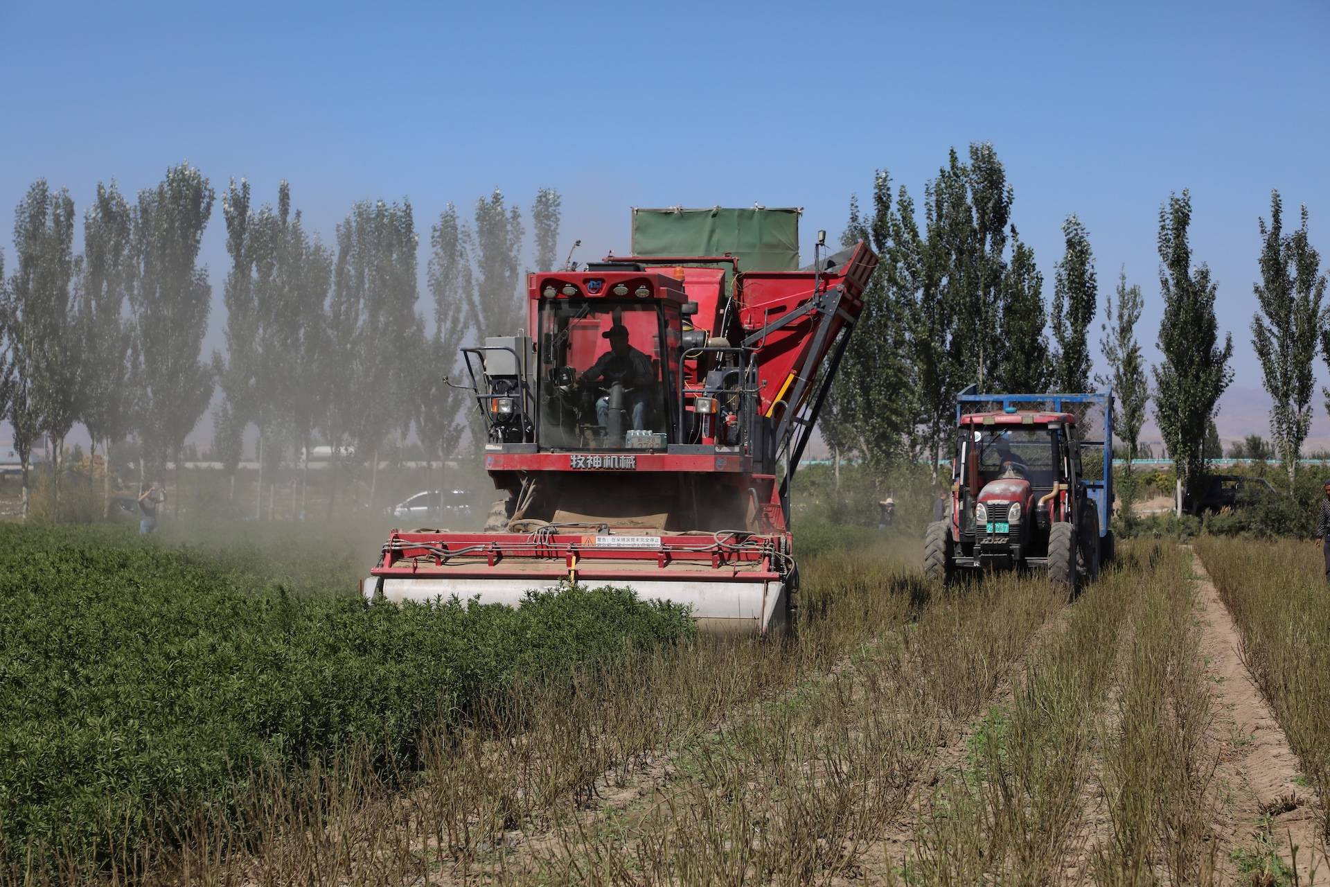 砥砺奋进七十载，天山南北谱华章
