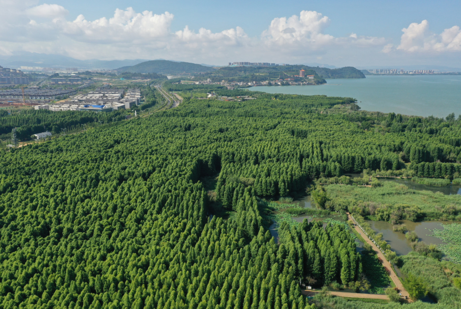 植物生态与环境研究中心