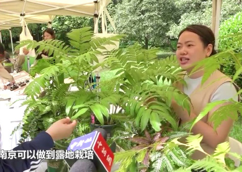 植物园与美好生活科普展亮相南京 邀约民众赏&ldquo;蕨&rdquo;美生活