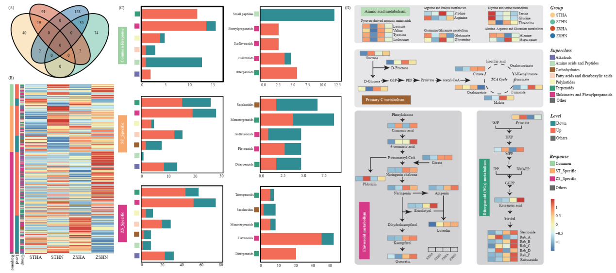 永盈彩票在JAFC发文揭示氮素形态通过根际微生物调控植物生长与代谢重编程