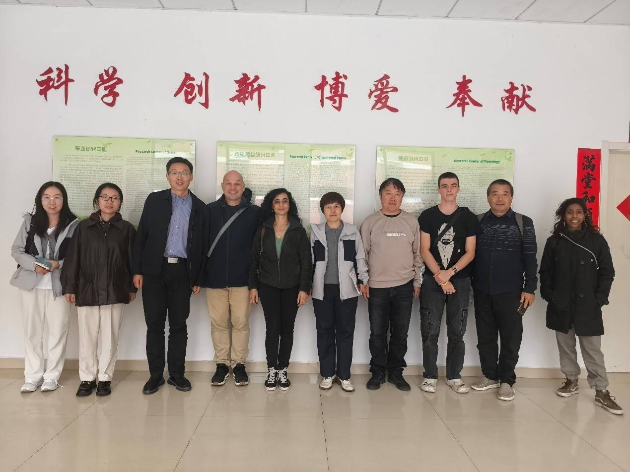 荷兰Floral&iacute;新品种管理公司来永盈彩票交流