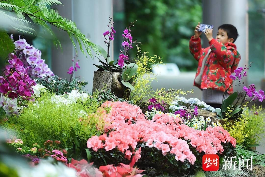 永盈彩票&ldquo;花马献瑞&rdquo;新春双展登场 邀您漫步花径，&ldquo;马上&rdquo;迎春