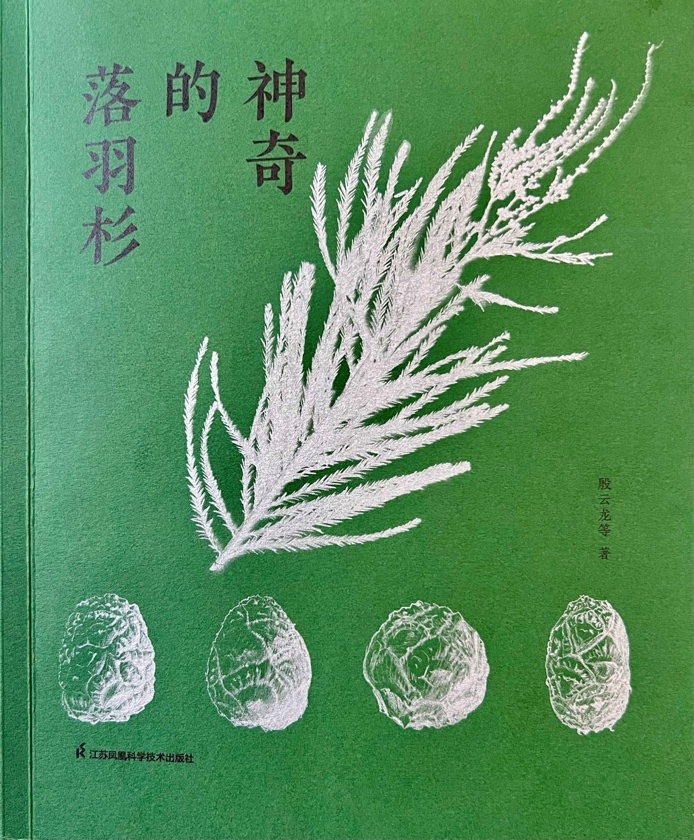 我所编著的《神奇的落羽杉》荣获国家林草局2025优秀林草科普作品奖